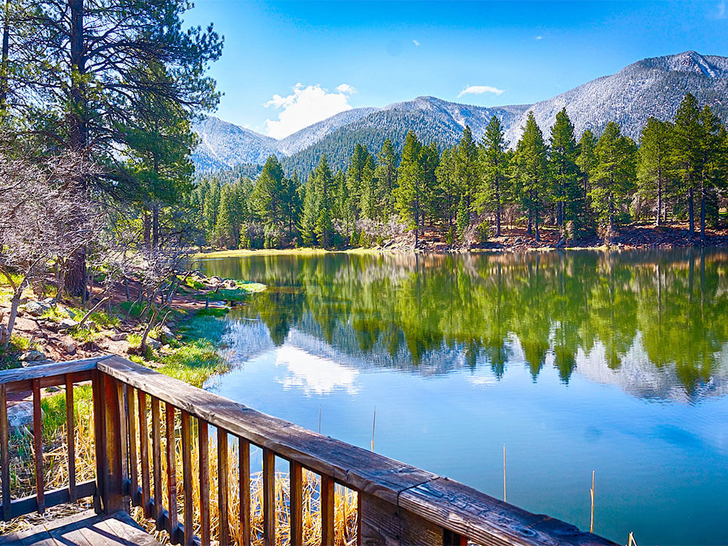 Homes for Sale Pine Valley, Utah
