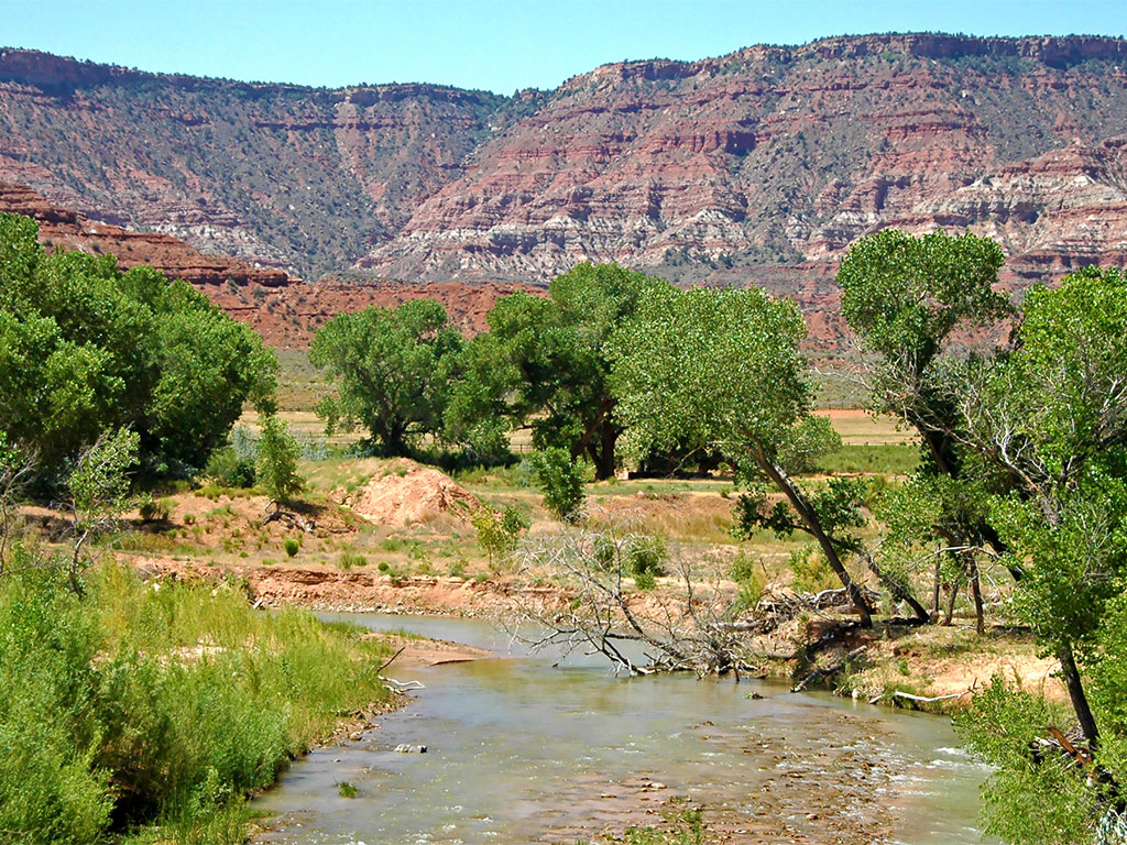 Homes for Sale Virgin, Utah